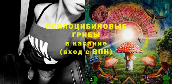 прущие грибы Кукмор