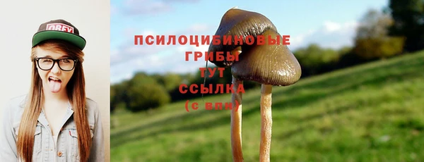 MESCALINE Ладушкин