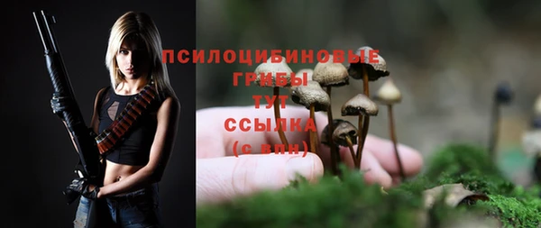прущие грибы Кукмор