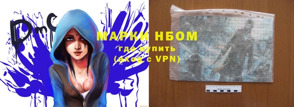 прущие грибы Кукмор