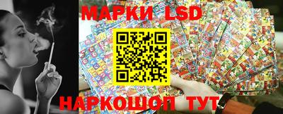 МДПВ Донецк