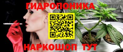 альфа пвп Гатчина