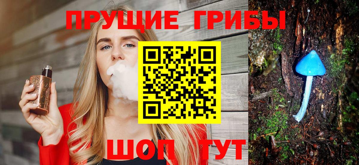 Златоуст  Псилоцибиновые грибы мицелий  Вход с VPN 