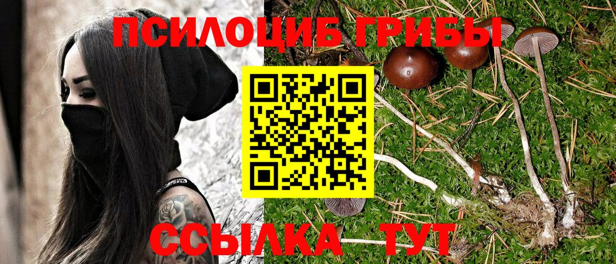 Галлюциногенные грибы мухоморы Златоуст