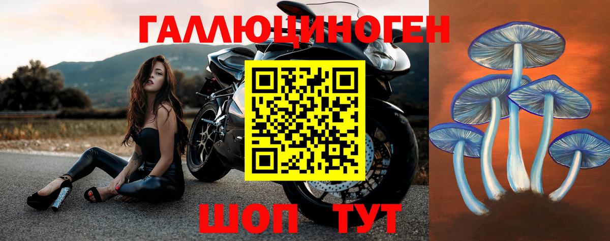 ГАШ Златоуст