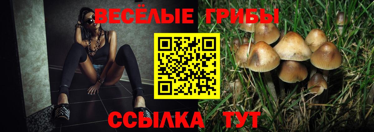 Псилоцибиновые грибы GOLDEN TEACHER  Галлюциногенные грибы Magic Shrooms  Златоуст 