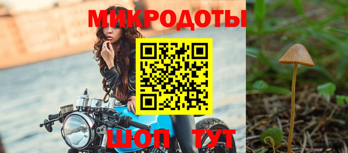 Псилоцибиновые грибы Cubensis Златоуст